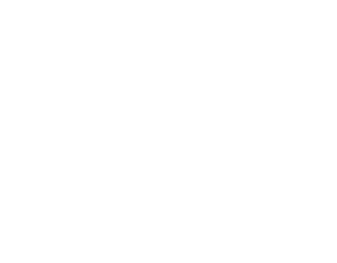 logo blanco